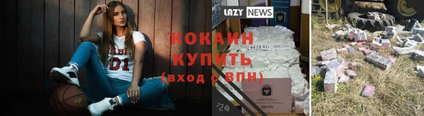 индика Аркадак