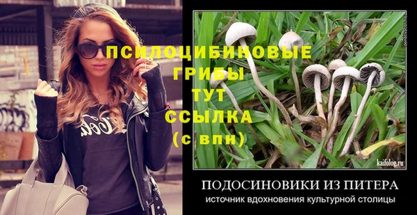 индика Аркадак