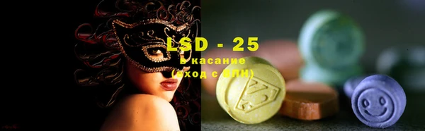 индика Аркадак