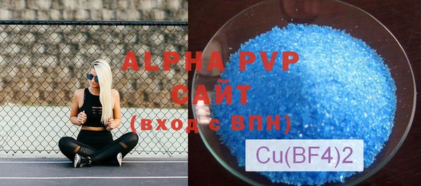 индика Аркадак