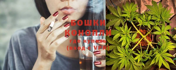 индика Аркадак