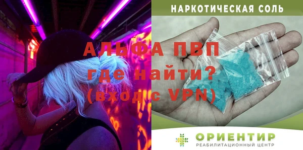 индика Аркадак