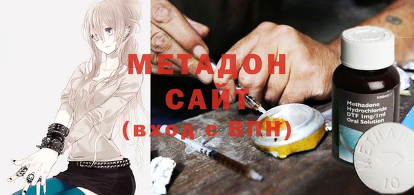 индика Аркадак