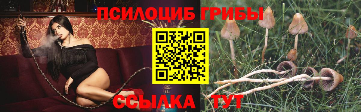 Галлюциногенные грибы мухоморы Волхов