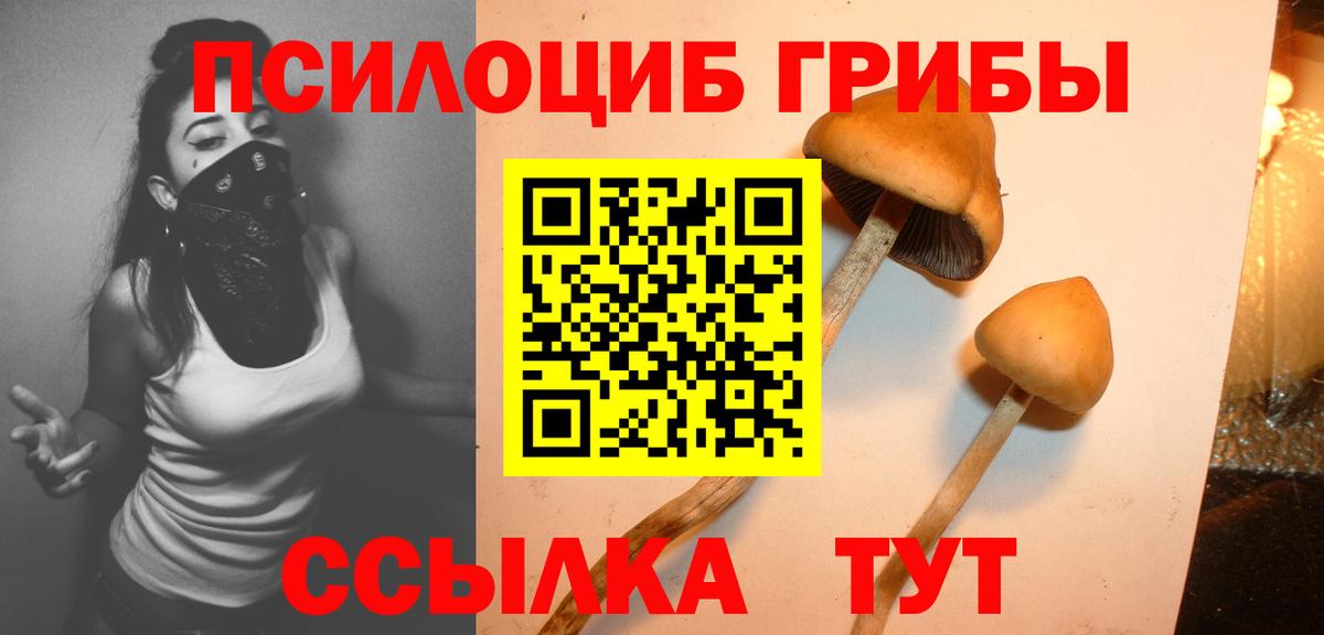 Галлюциногенные грибы мицелий  Вход с VPN  Галлюциногенные грибы прущие грибы  Волхов 