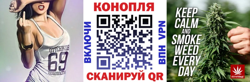 Конопля планчик Волхов