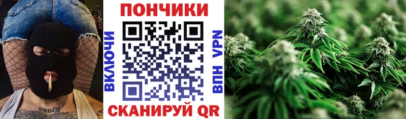 Каннабис VHQ Волхов