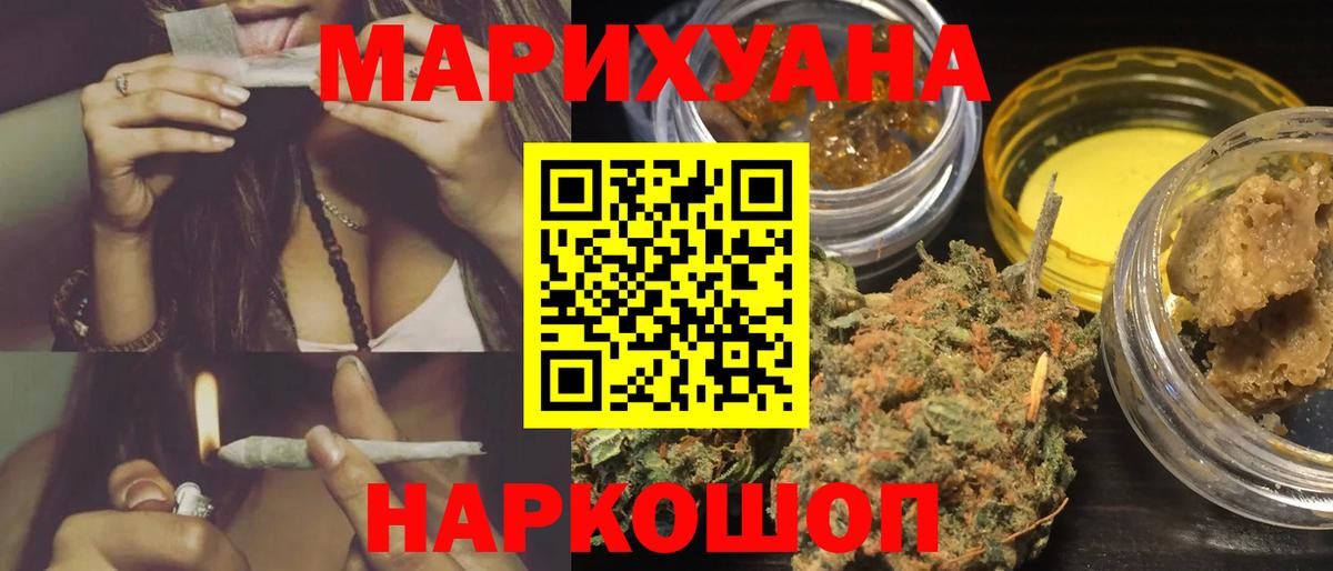 Волхов  Бошки Шишки сатива  Вход с VPN  МАРИХУАНА планчик  Бошки марихуана конопля 